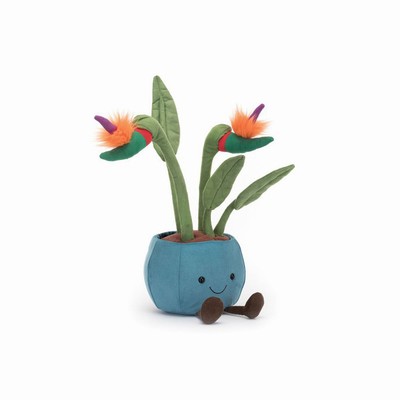 Jellycat Bird of Paradise USA | 74352WXRC